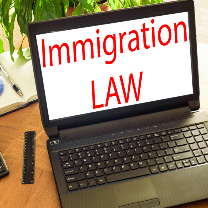 Онлайн консультация миграционного юриста
